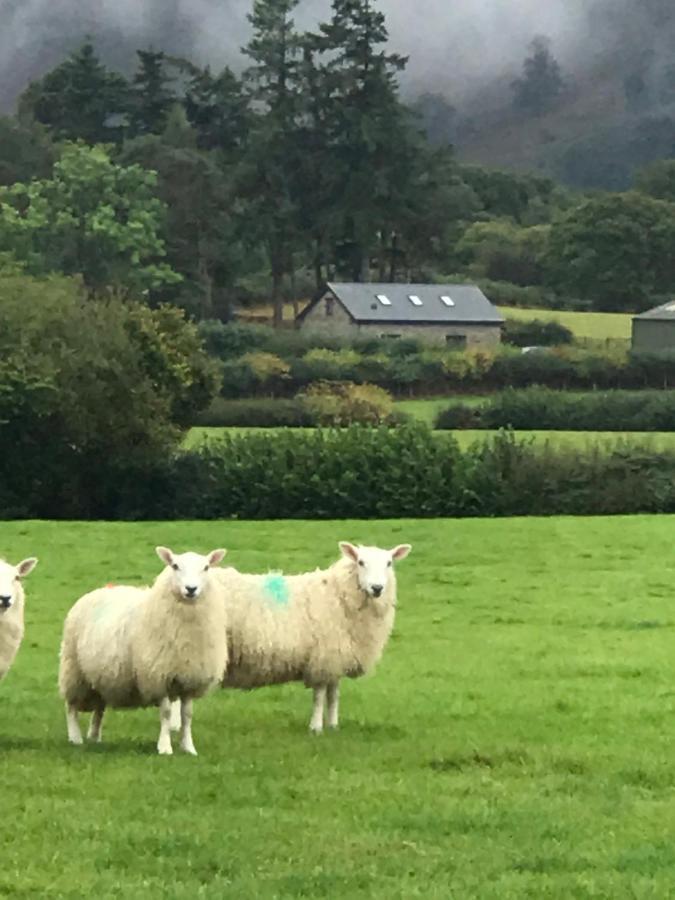 Chic Cottage Near Elan Valley And Builth Wells Llanwrthwl Exterior photo